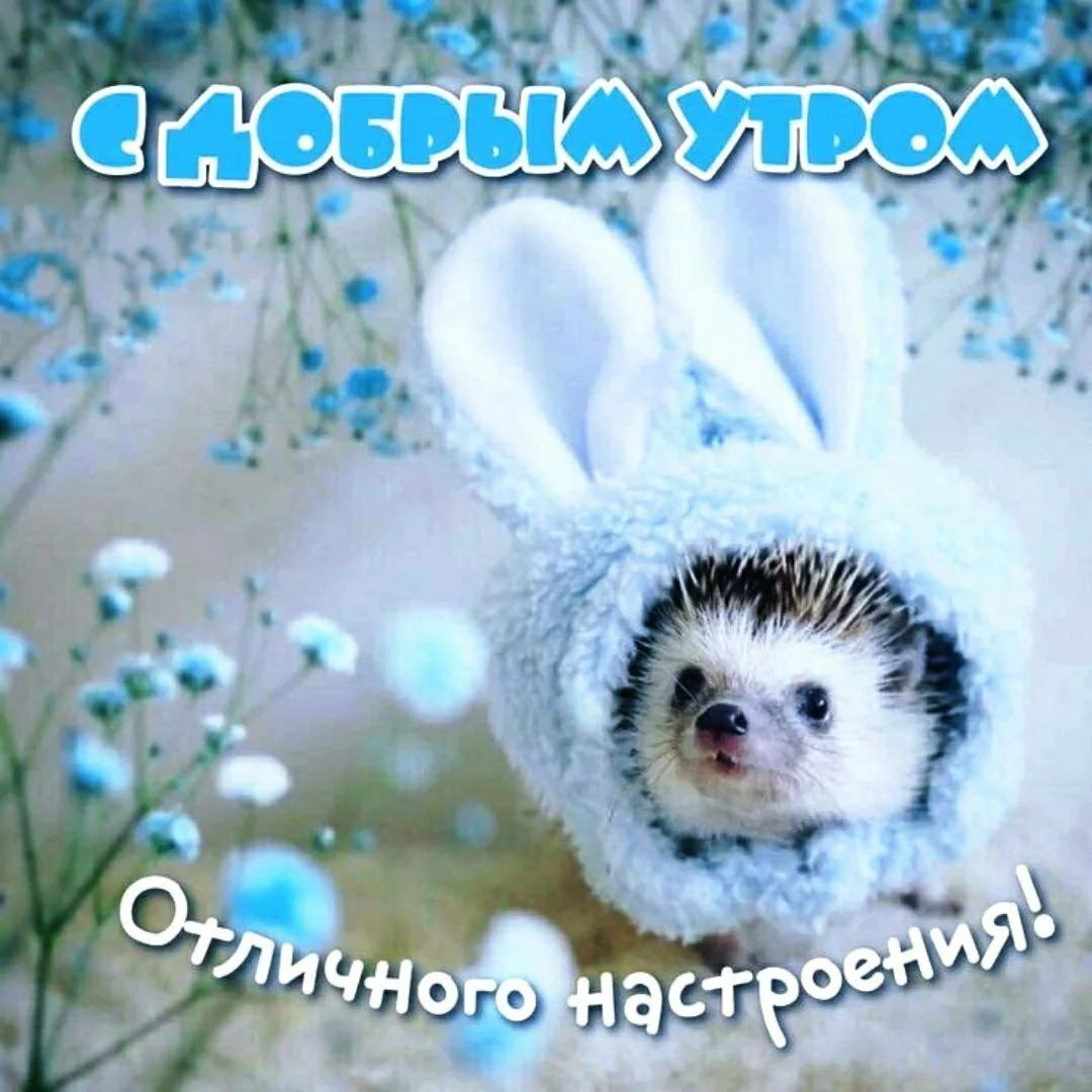 С добрым утром! Отличного настроения!