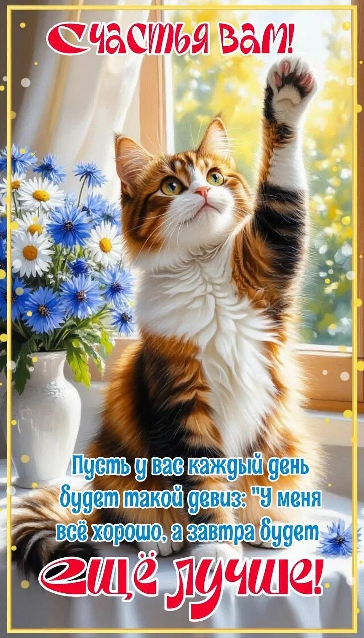 Счастья вам! Пусть у вас каждый день будет такой девиз: 