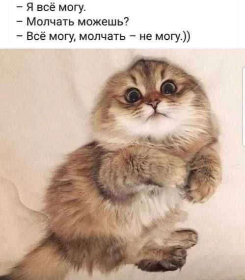 – Я всё могу.
– Молчать можешь?
– Всё могу, молчать – не могу.))