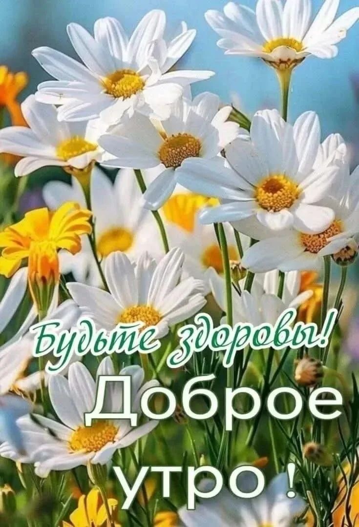 Будьте здоровы! Доброе утро!