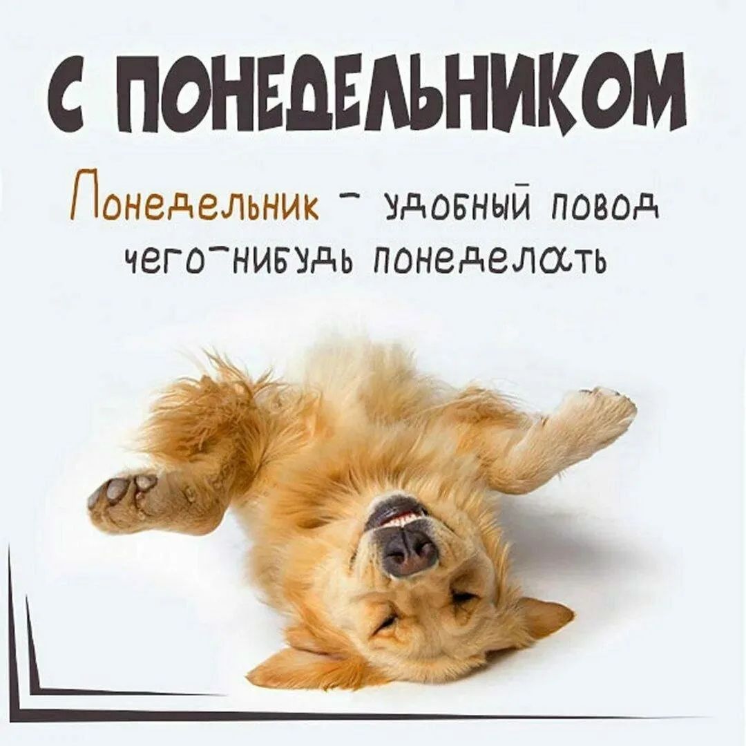 С ПОНЕДЕЛЬНИКОМ Понедельник - удобный повод чего-нибудь понеделать