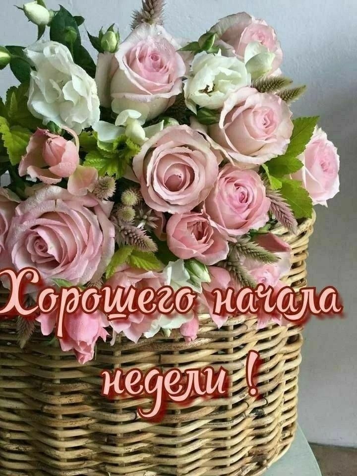 Хорошего начала недели!