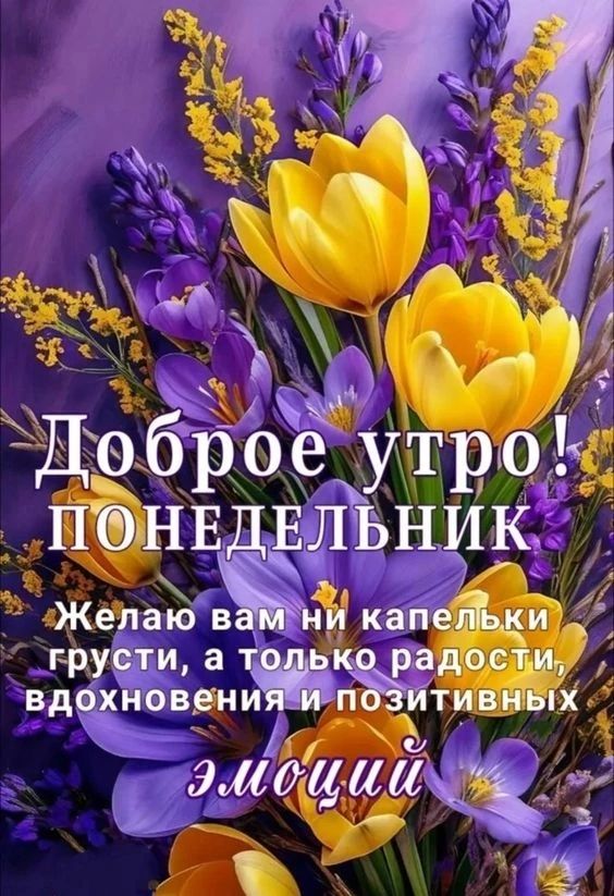 Доброе утро! ПОНЕДЕЛЬНИК Желаю вам ни капельки грусти, а только радости, вдохновения и позитивных эмоций