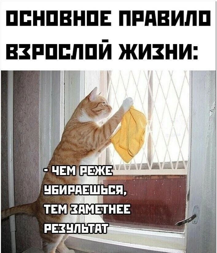 ОСНОВНОЕ ПРАВИЛО ВЗРОСЛОЙ ЖИЗНИ: - ЧЕМ РЕЖЕ УБИРАЕШЬСЯ, ТЕМ ЗАМЕТНЕЕ РЕЗУЛЬТАТ