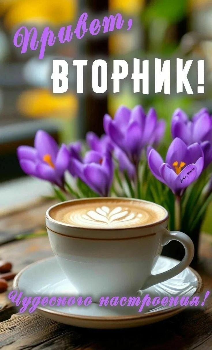 Привет, ВТОРНИК! Чудесного настроения!