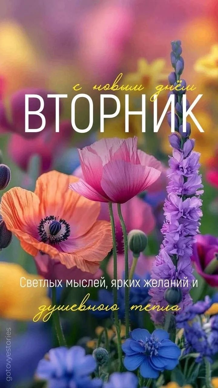 С новым днём ВТОРНИК Светлых мыслей, ярких желаний и душевного тепла gotovyestories