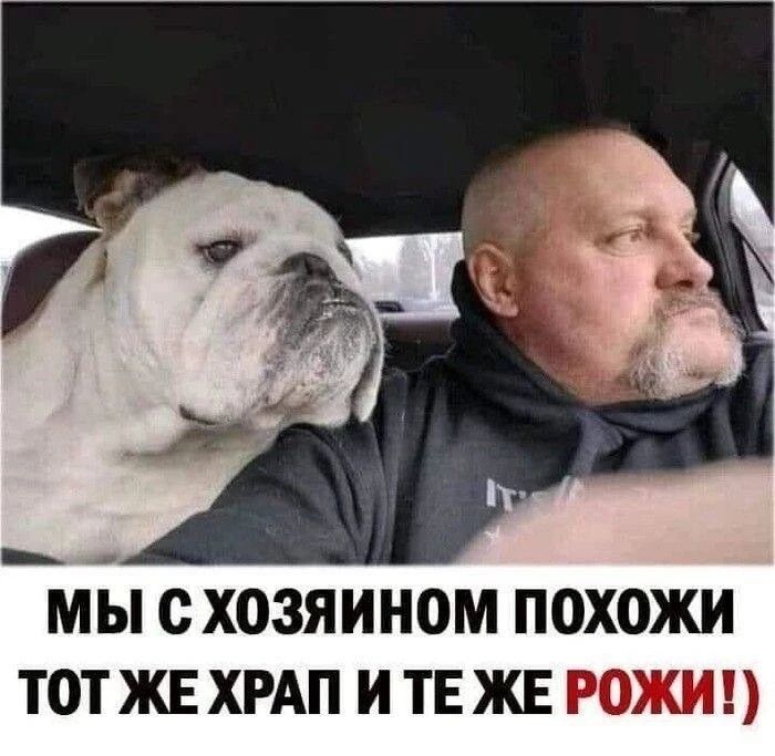 МЫ С ХОЗЯИНОМ ПОХОЖИ ТОТ ЖЕ ХРАП И ТЕ ЖЕ РОЖИ!)