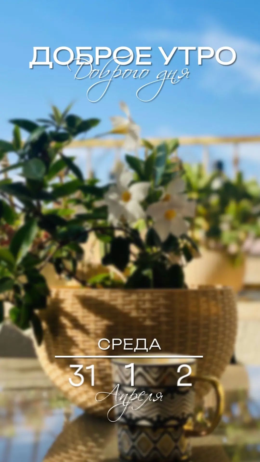 ДОБРОЕ УТРО Dobrogo dnya СРЕДА 31 1 2 Апреля