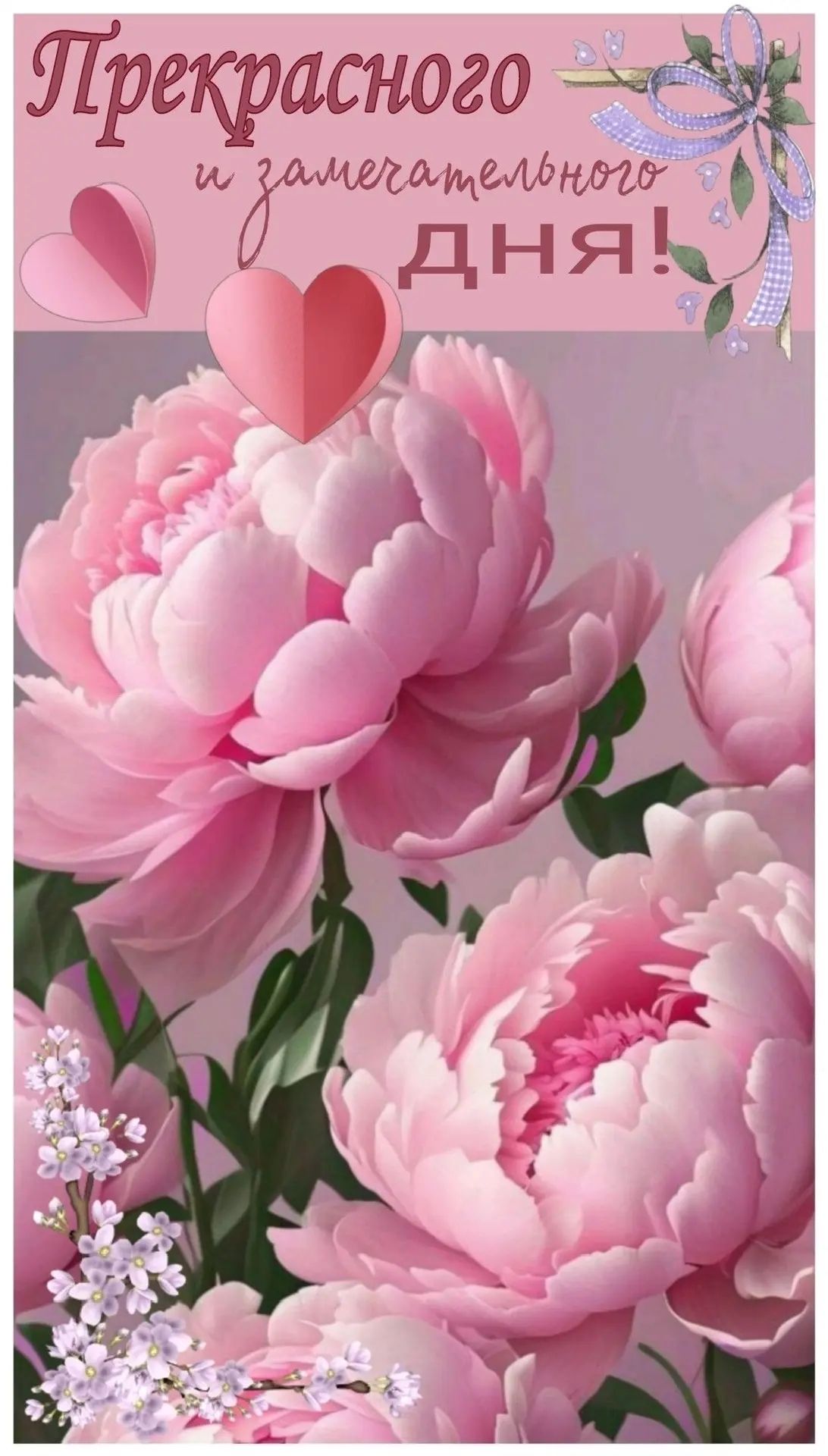 Прекрасного и замечательного ДНЯ!