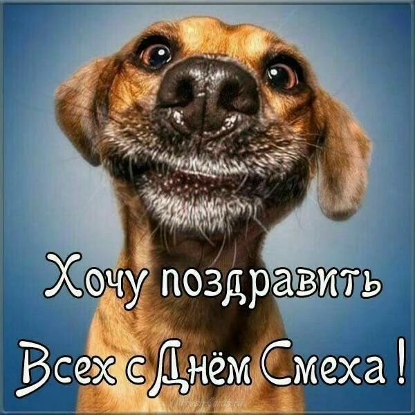 Хочу поздравить Всех с Днём Смеха!