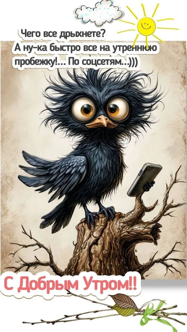 Чего все дрыхнете? А ну-ка быстро все на утреннюю пробежку!... По соцсетям...))) С Добрым Утром!!