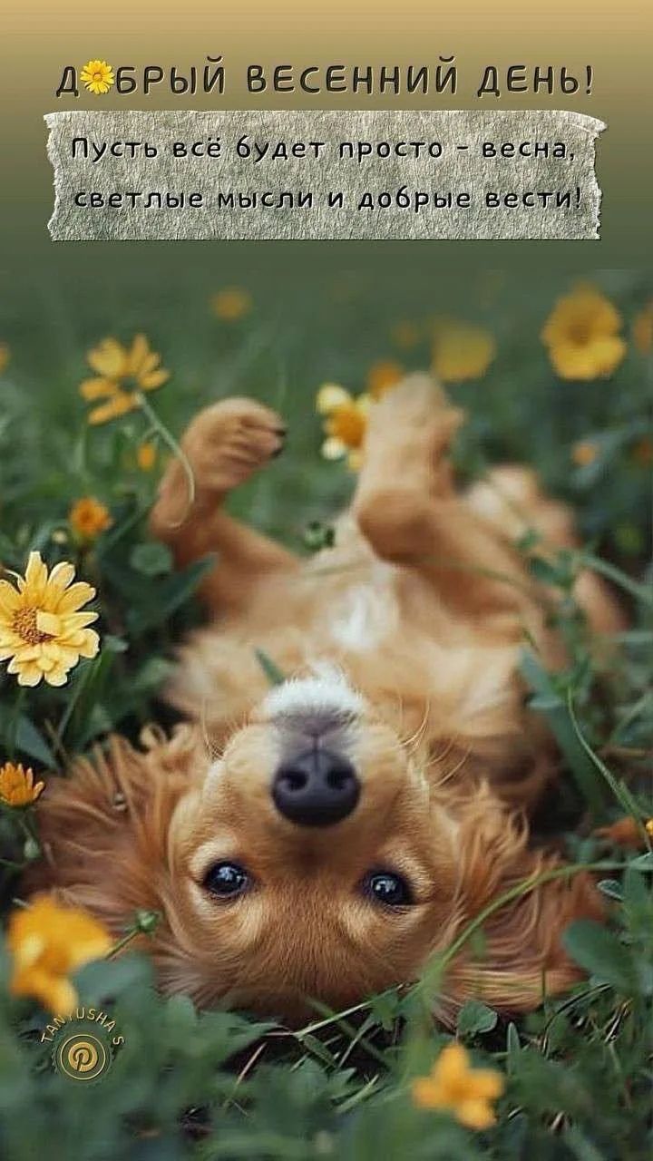 ДОБРЫЙ ВЕСЕННИЙ ДЕНЬ! Пусть всё будет просто - весна, светлые мысли и добрые вести!