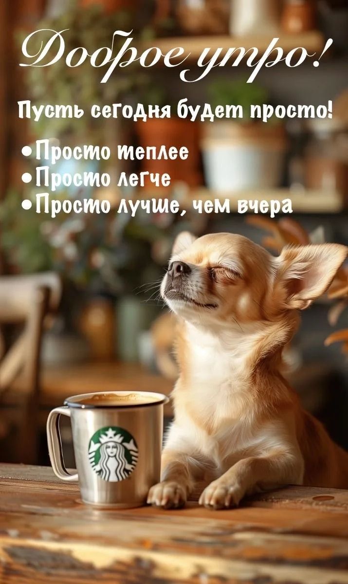 Доброе утро! Пусть сегодня будет просто! Просто теплее Просто легче Просто лучше, чем вчера