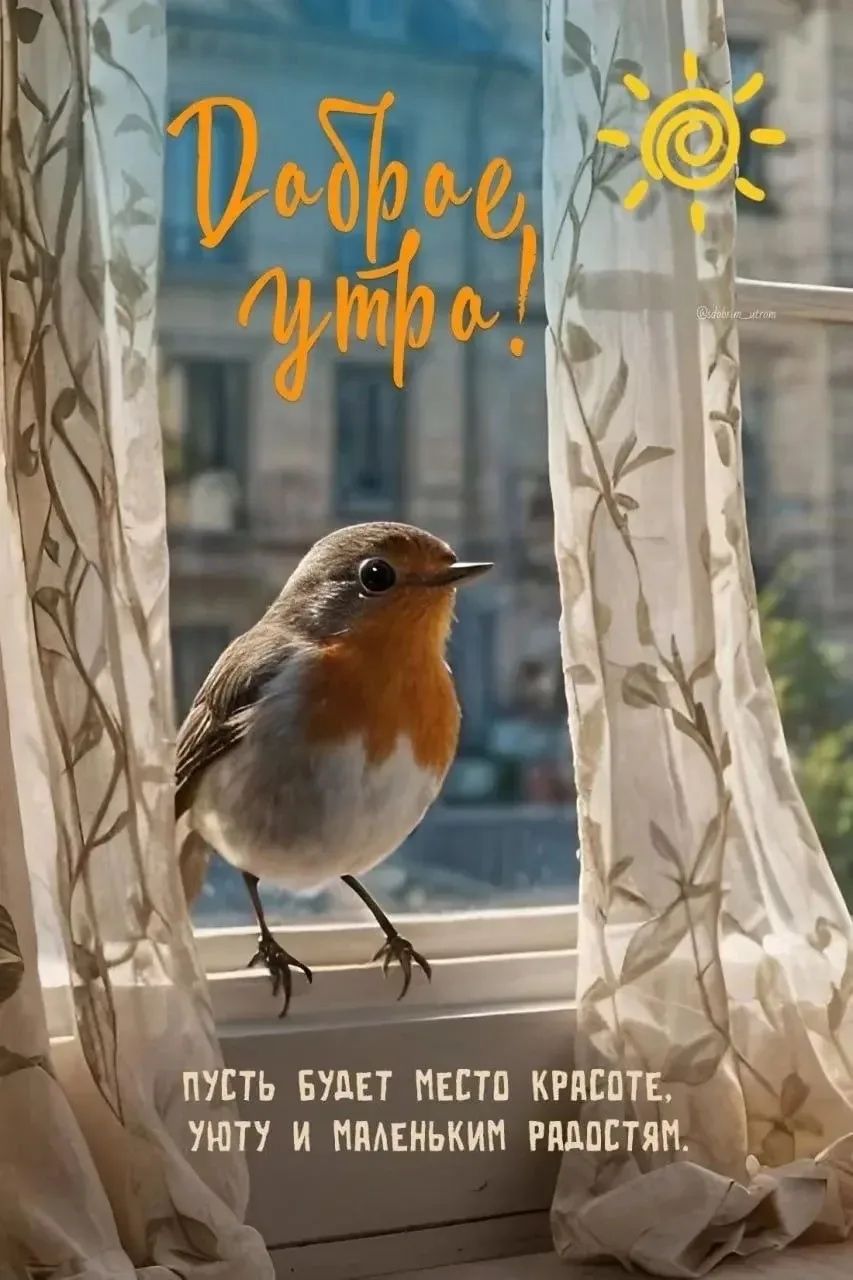 Доброе утро! Пусть будет место красоте, уюту и маленьким радостям.
