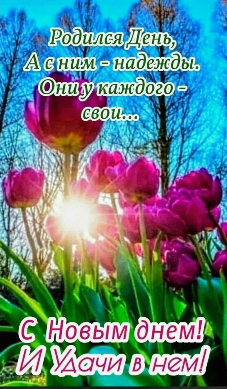 Родился День, А с ним - надежды. Они у каждого - свои... С Новым днем! И Удачи в нем!