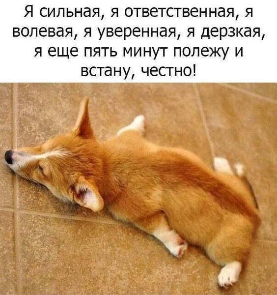 Я сильная, я ответственная, я волевая, я уверенная, я дерзкая, я еще пять минут полежу и встану, честно!
