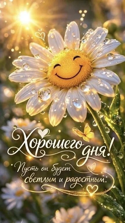 Хорошего дня! Пусть он будет светлым и радостным.