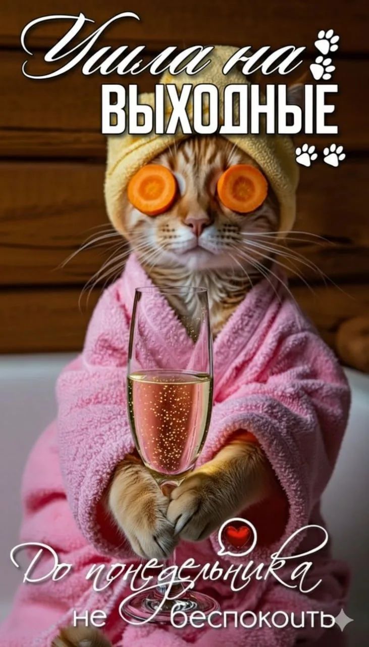 Душа на выходные. До понедельника не беспокоить.