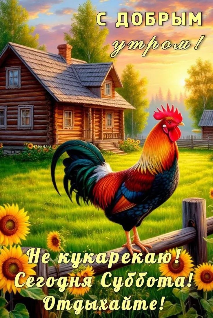 С добрым утром! Не кукарекаю! Сегодня Суббота! Отдыхайте!