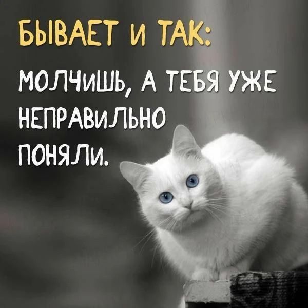 БЫВАЕТ И ТАК: МОЛЧИШЬ, А ТЕБЯ УЖЕ НЕПРАВИЛЬНО ПОНЯЛИ.