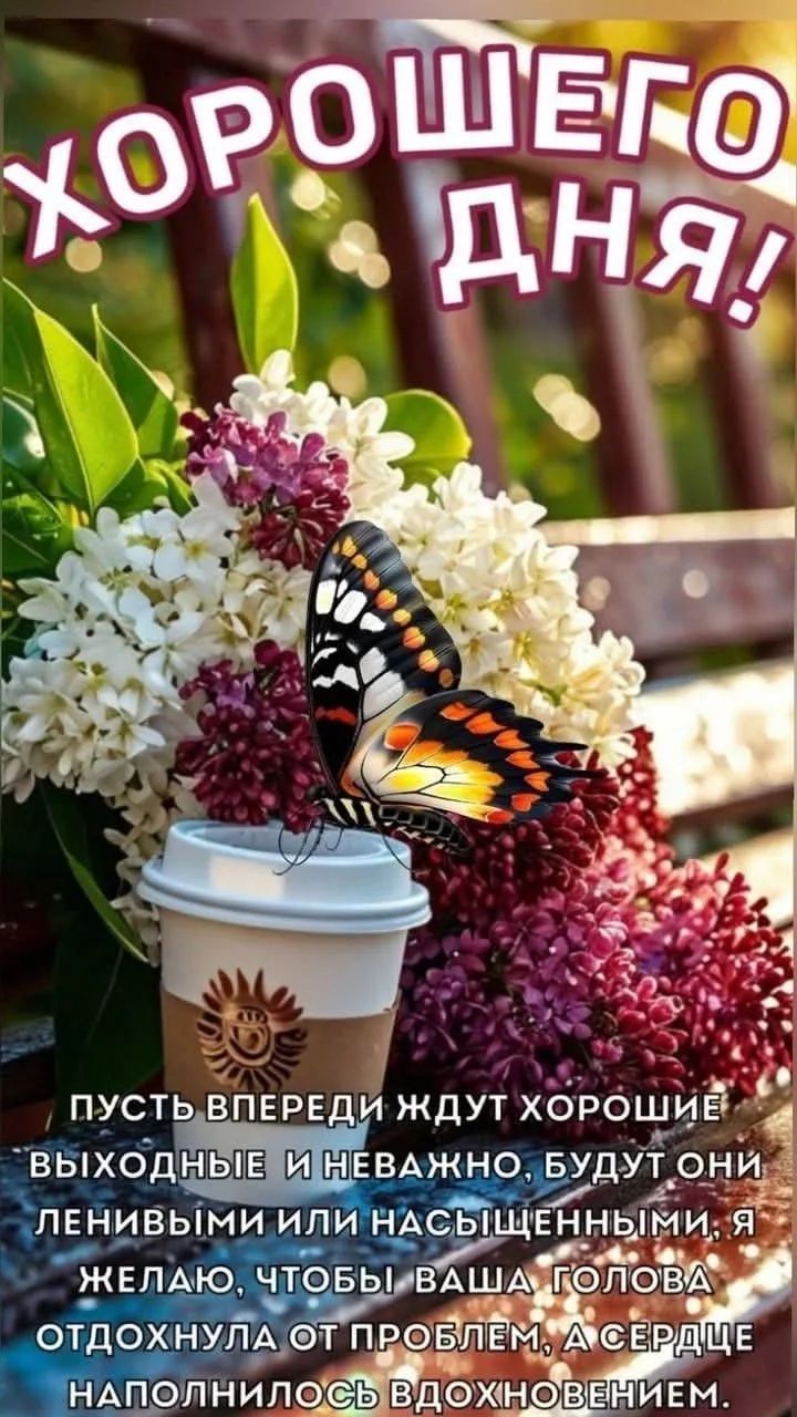 ХОРОШЕГО ДНЯ! ПУСТЬ ВПЕРЕДИ ЖДУТ ХОРОШИЕ ВЫХОДНЫЕ И НЕВАЖНО, БУДУТ ОНИ ЛЕНИВЫМИ ИЛИ НАСЫЩЕННЫМИ, Я ЖЕЛАЮ, ЧТОБЫ ВАША ГОЛОВА ОТДОХНУЛА ОТ ПРОБЛЕМ, А СЕРДЦЕ НАПОЛНИЛОСЬ ВДОХНОВЕНИЕМ.