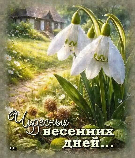Чудесных весенних дней...
