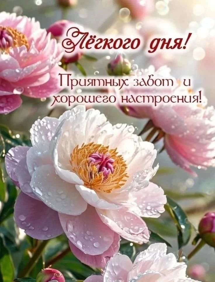 Лёгкого дня! Приятных забот и хорошего настроения!
