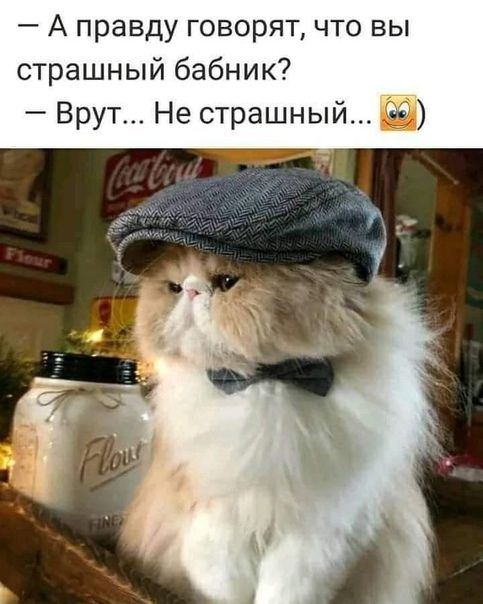 А правду говорят что вы страшный бабник Врут Не страшный