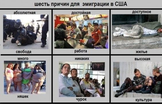 шесть причин для эмиграции в США Бсвпютияя дмтоіучипя дтутт _ иших