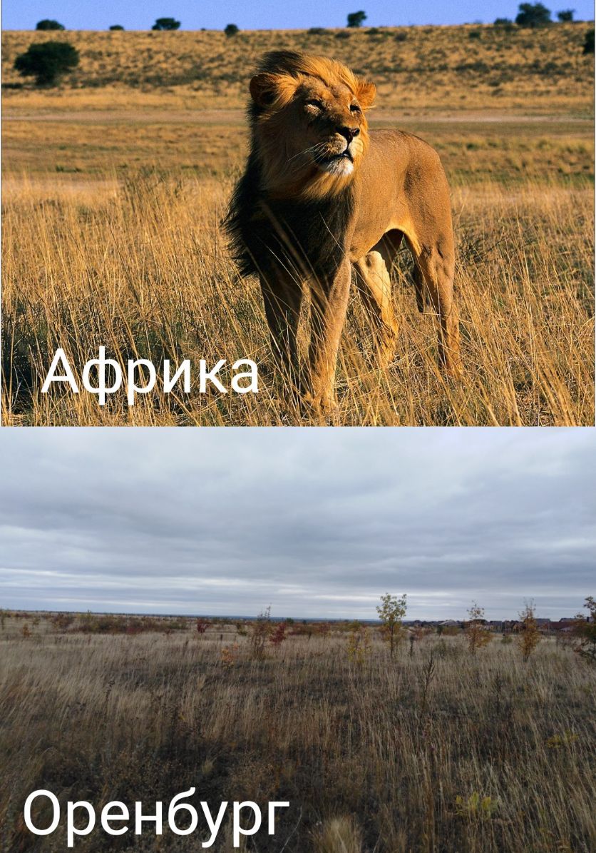 Оренбург