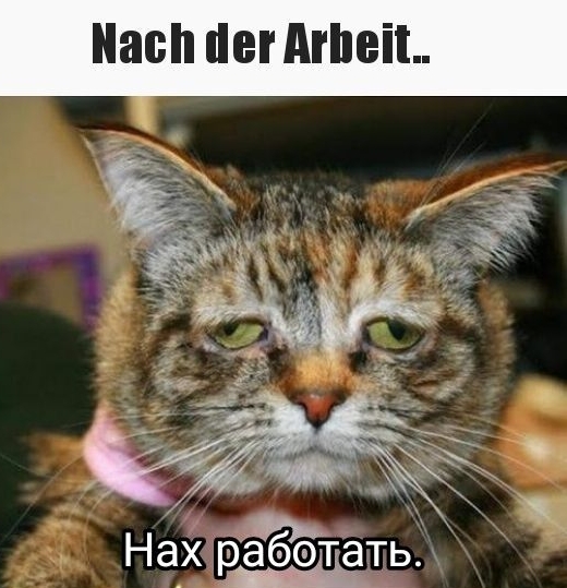Нёх рёббтіать