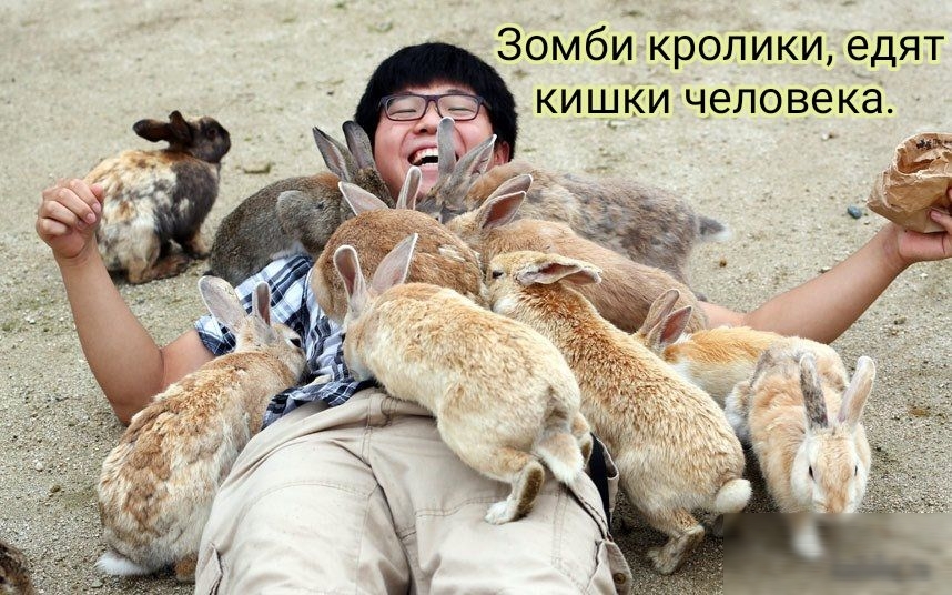 Зомби кролики едят