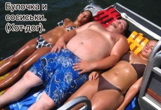 ш Жет дог