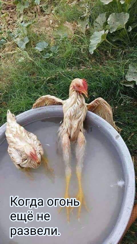 Когда огонь ещё не развели