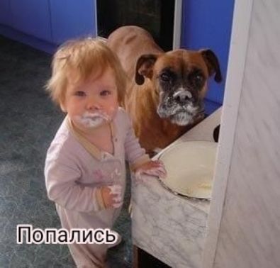 ПЗЛИСЬ _