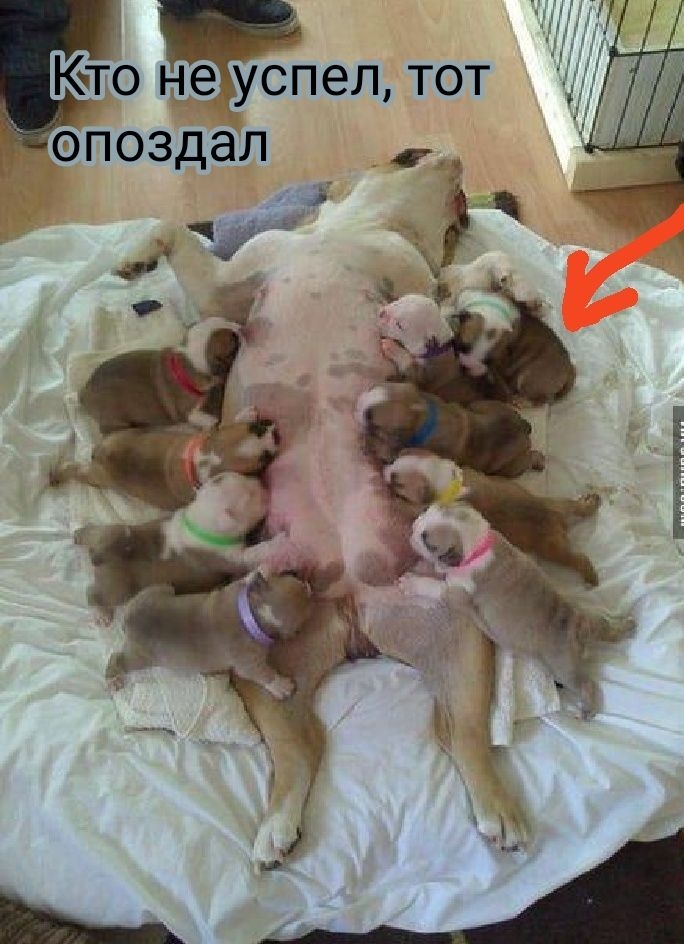 ч 1 КЪ то н е_успел тот опоздал