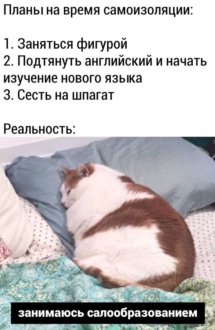 планы на время СЭМОИЗОЛЯЦИИ 1 Заняться фигурой 2 Подтянуть английский и начать изучение нового языка 3 Сесть на шпагат Реальность