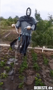МПП пн