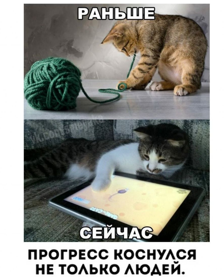 ПРОГРЕСС КОСНУА_СЯ НЕ ТОАЬКО АЮАЕИ