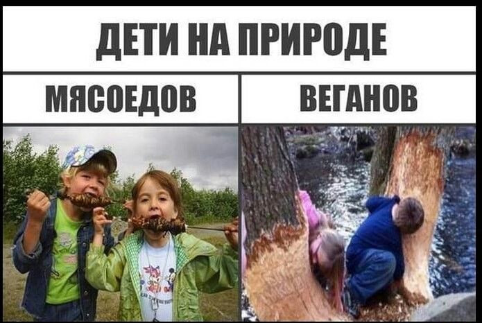 МШЮЕДПВ ВЕПШВВ