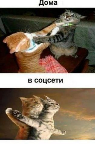 В СОЦСЕТИ сд