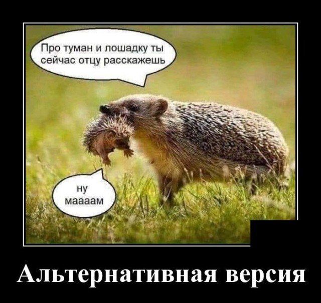 Про туман и лошадку ты сейчас отцу расскажешь АЛЬТСРНЙТИВНЗЯ версия