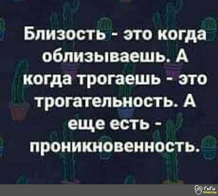 Близость это когда облизываешь А когда трогаешь это трогательность А еще есть проникновенность