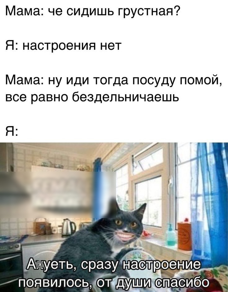 Мама че сидишь грустная Я настроения нет Мама ну иди тогда посуду помой все равно бездельничаешь стероние _ _ появилоспгжбтідТхшиспасибо