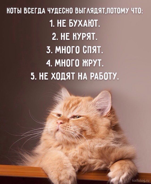 ноты ВСЕГДА чудесно 1 НЕ БУХАШ 2 НЕ НУРГЯг