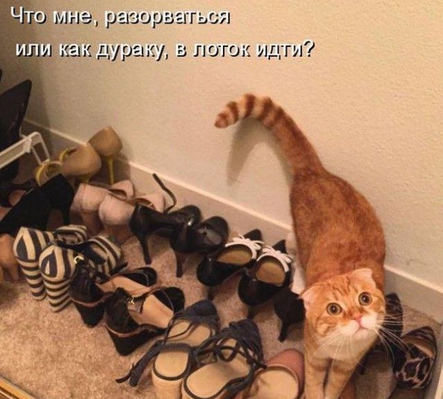 Ч 9 мне разорваться или как дураки в поток ищи
