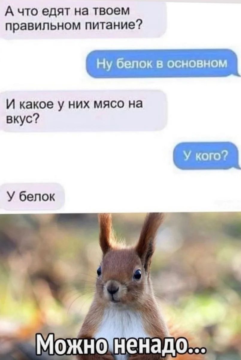 А что едят на твоем правильном питание Ню белом снпвном И какое у них мясо на вкус к о