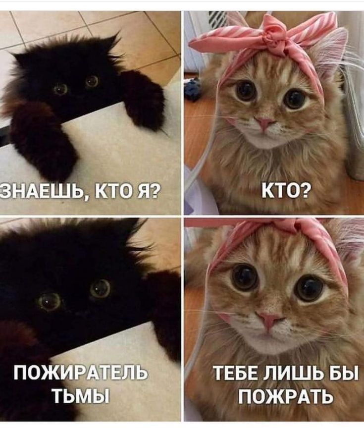 ПОЖРАТЬ
