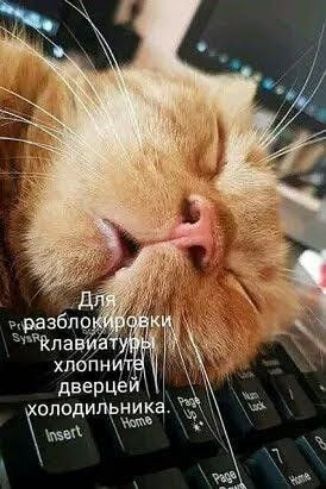 олодильникаі им