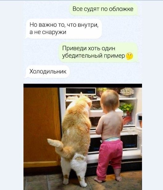 Все судят по обложке Не важно то что внутри 3 не снаружи Приведи хоть один убедительный пример Холодильник